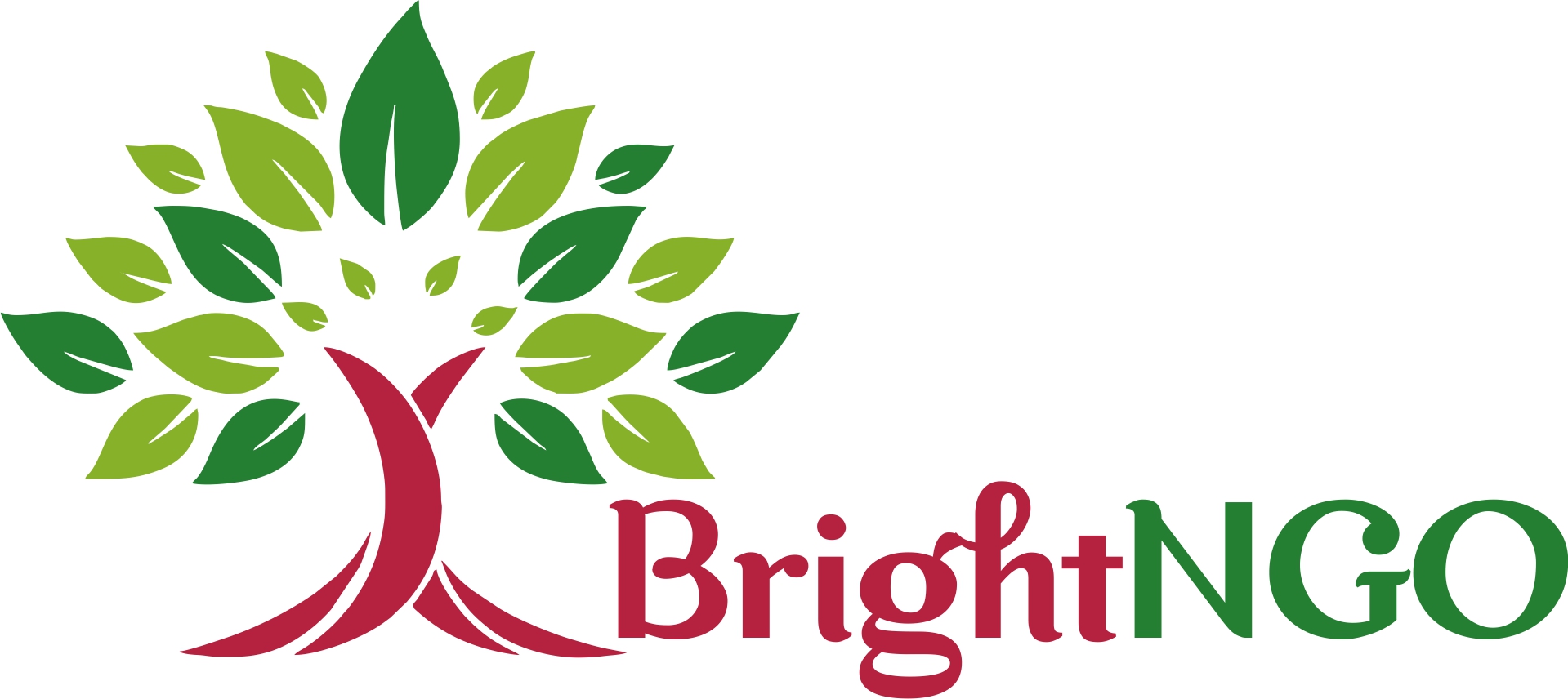 Bright NGO 